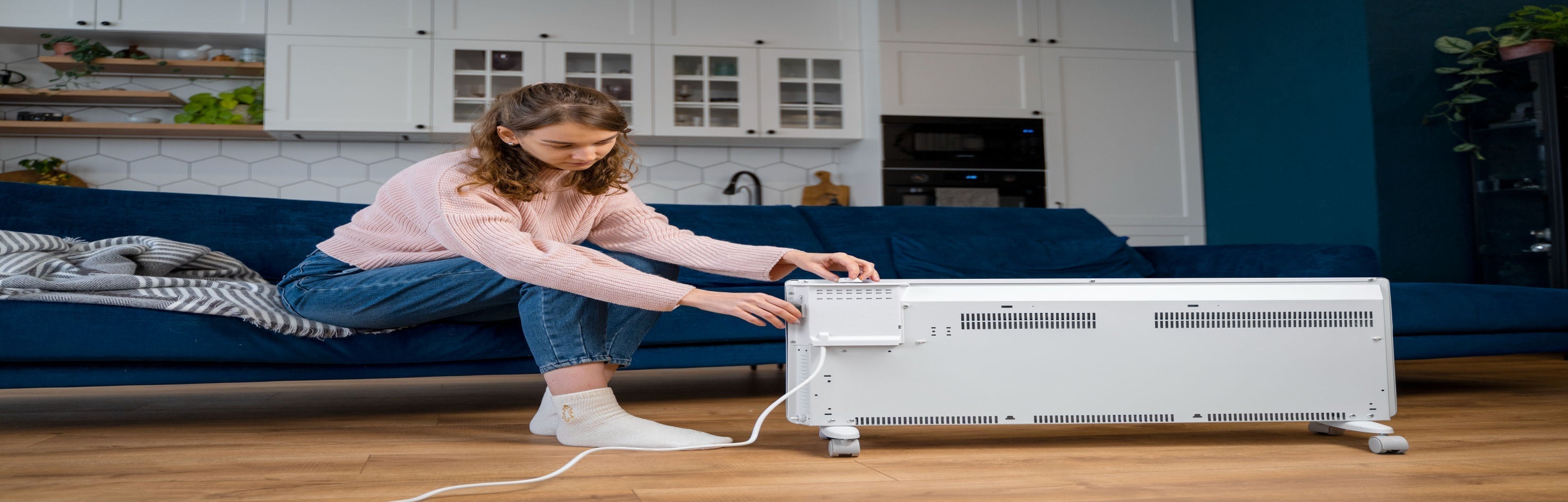 Which Stabilizer Is Best for Home? | Expert Advice